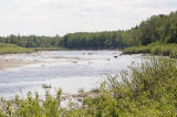 looking up the Tozer channel